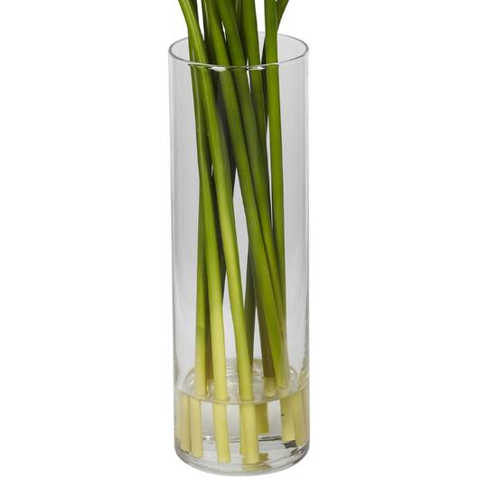 20" Mini Calla Lily Arrangement in Tall Vase, Red